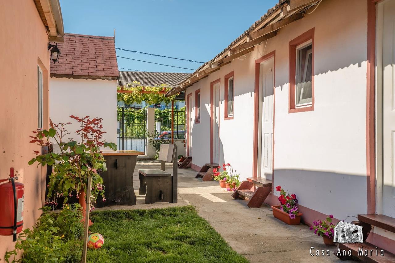 Casa Ana Maria Villa Vama Veche Dış mekan fotoğraf