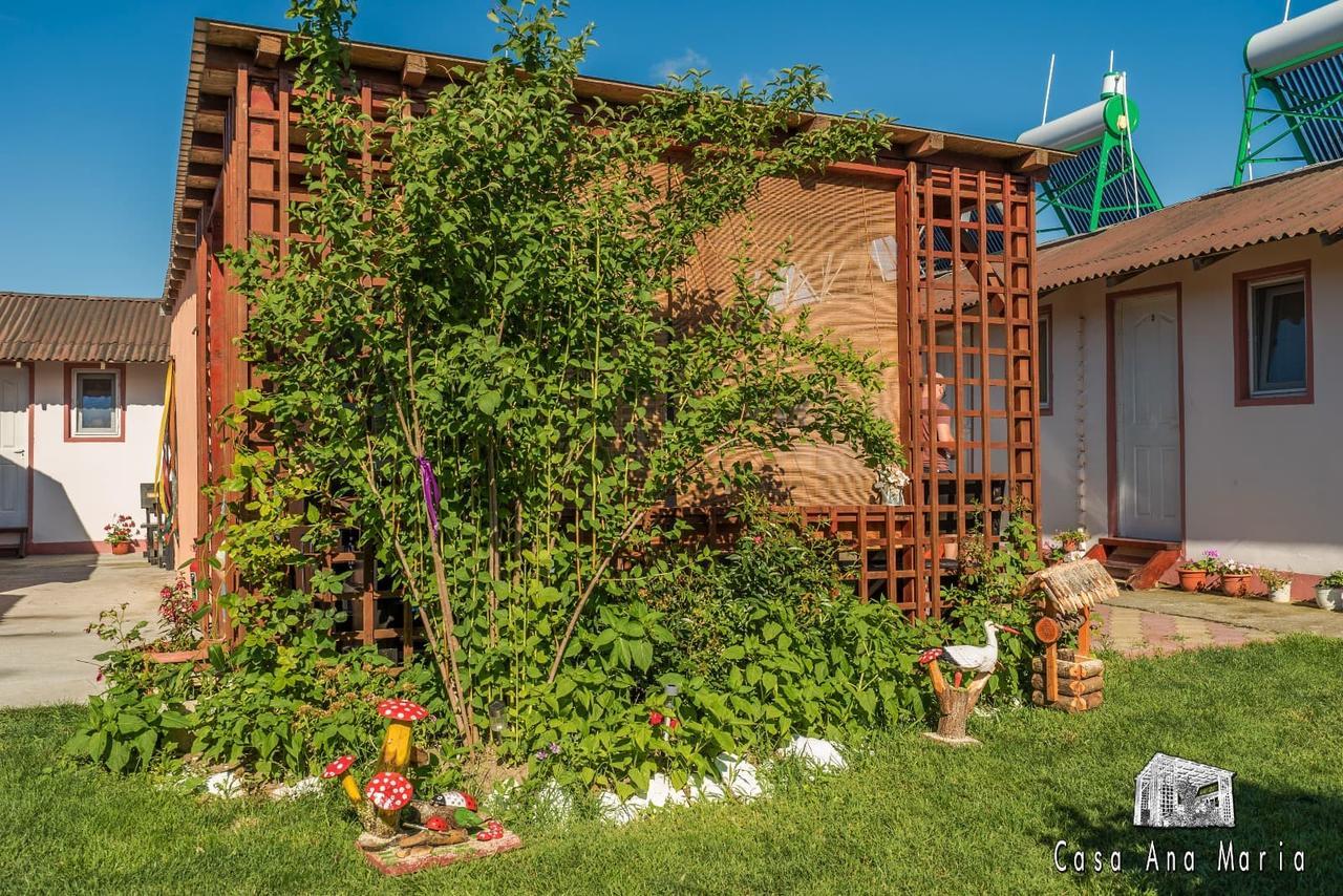 Casa Ana Maria Villa Vama Veche Dış mekan fotoğraf