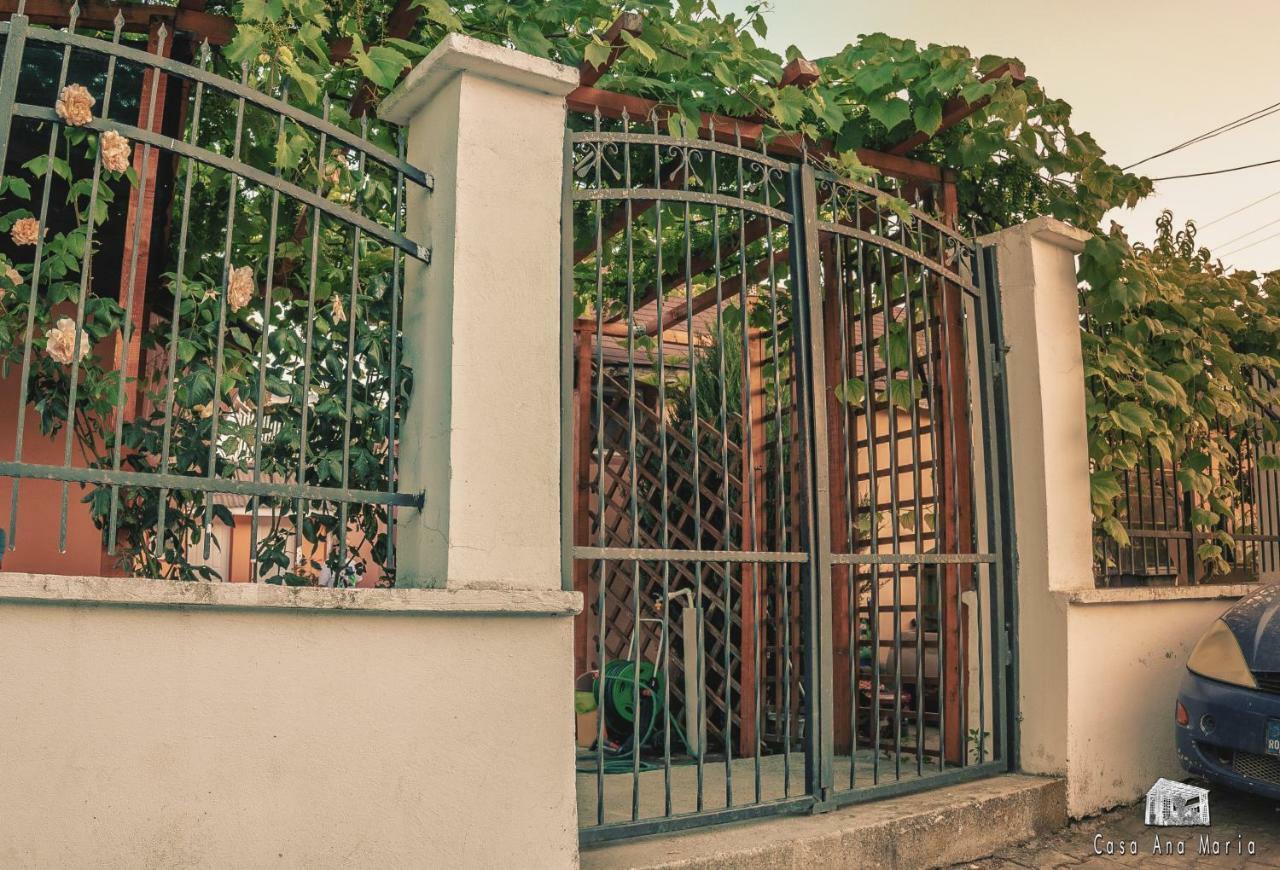 Casa Ana Maria Villa Vama Veche Dış mekan fotoğraf